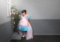 Pink Blue & White Multi-layered Red Carpet Look 4 Trail Gown Dress