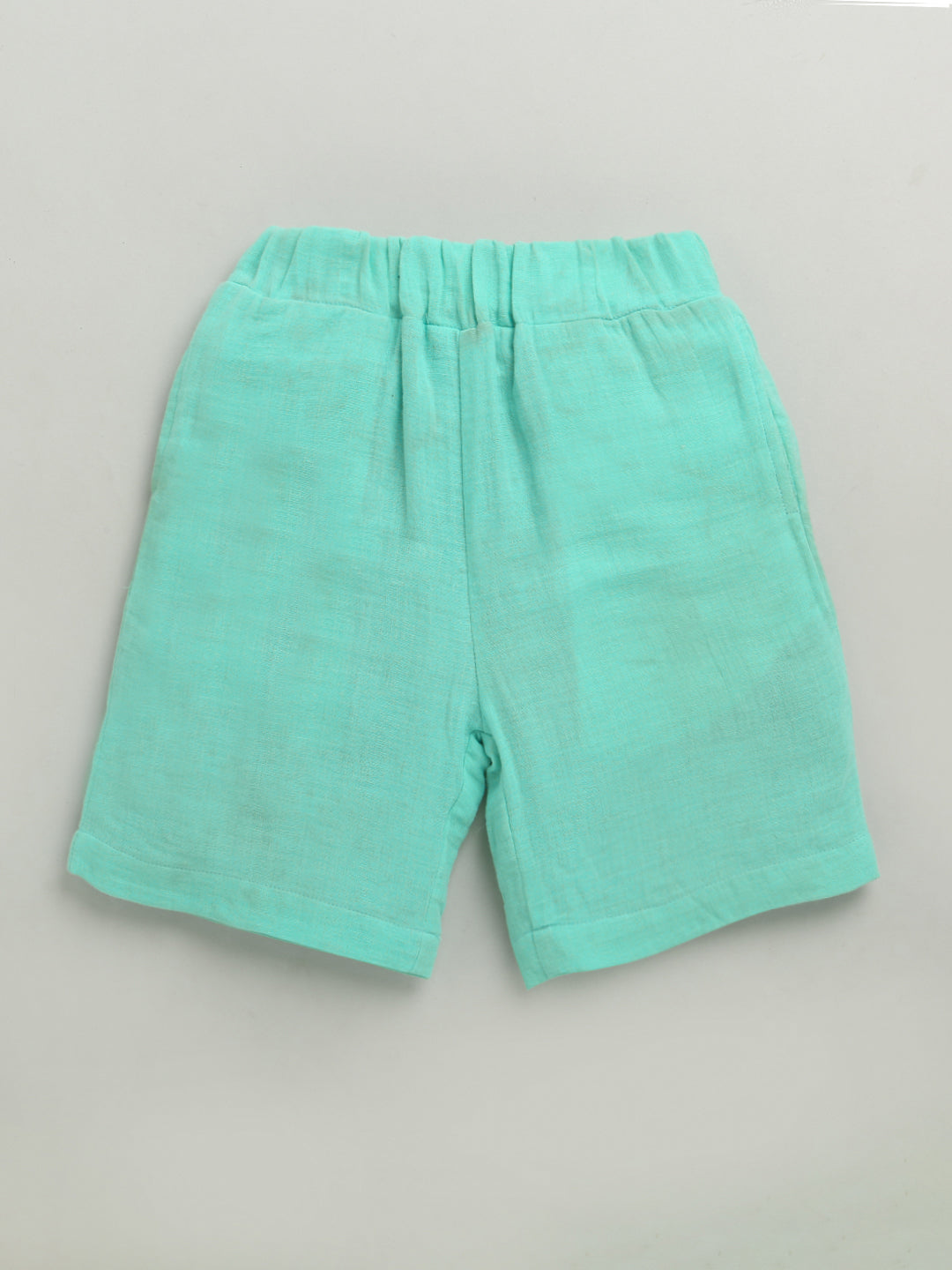 Blue & Green Half Sleeve Color Block Pure Cotton Shirt & Short Co-ord Set