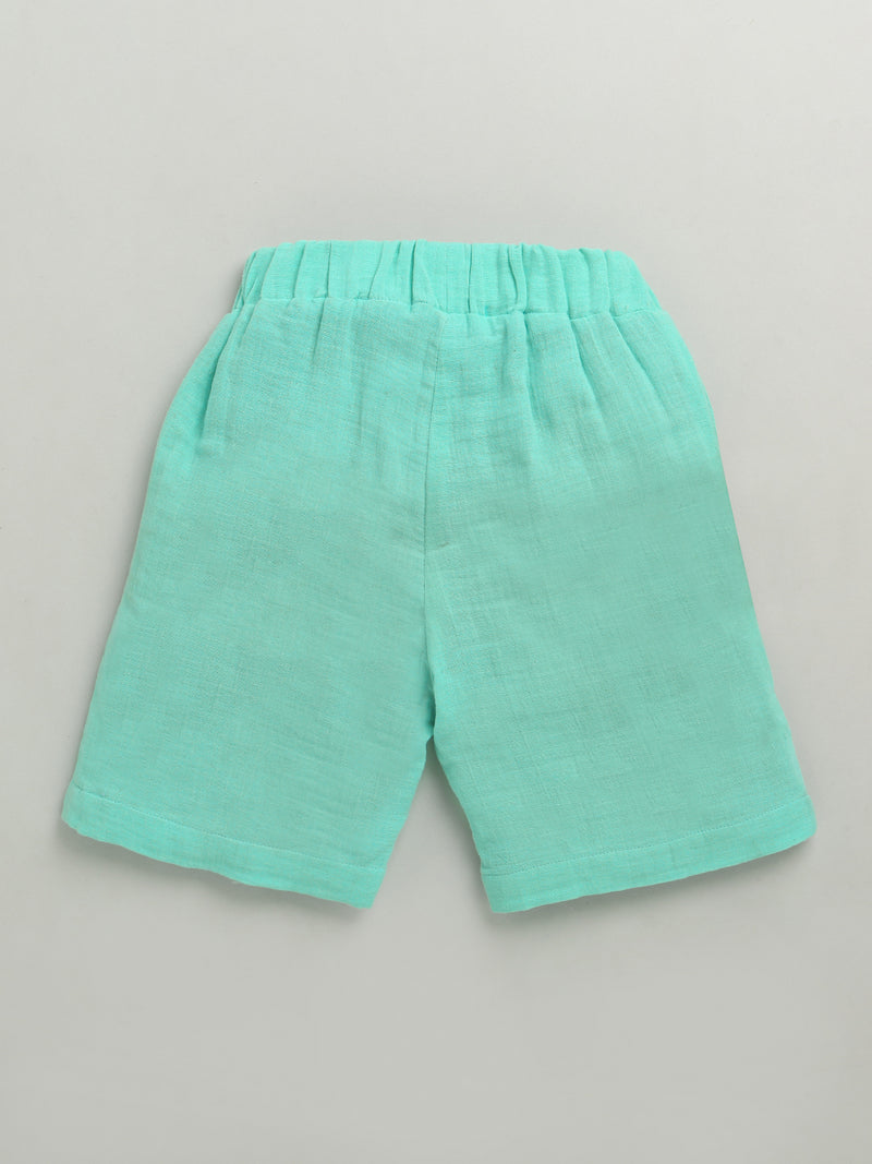 Blue & Green Half Sleeve Color Block Pure Cotton Shirt & Short Co-ord Set