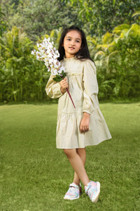 Light Beige Puffed Sleeves Frill Neck Solid Flared Pure Cotton Dress
