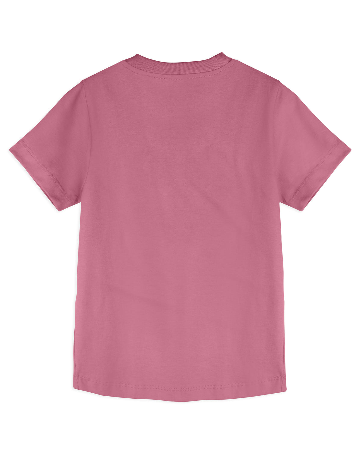 Pink Alligator with Ball Print Half Sleeve Boys T-Shirt